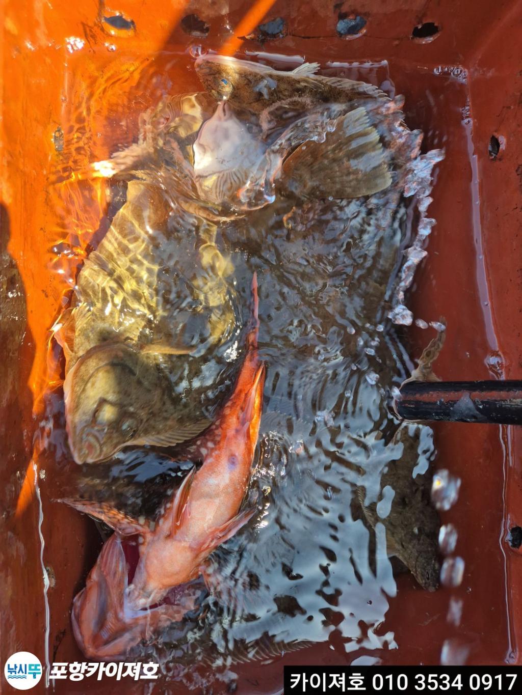 낚시뚜,기타 (직접입력),영일만항,포항카이져호,낚시뚜11