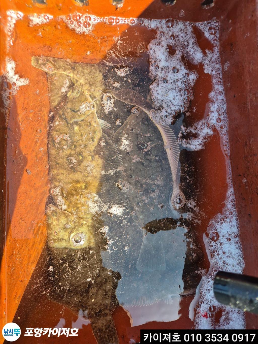 낚시뚜,기타 (직접입력),영일만항,포항카이져호,낚시뚜10