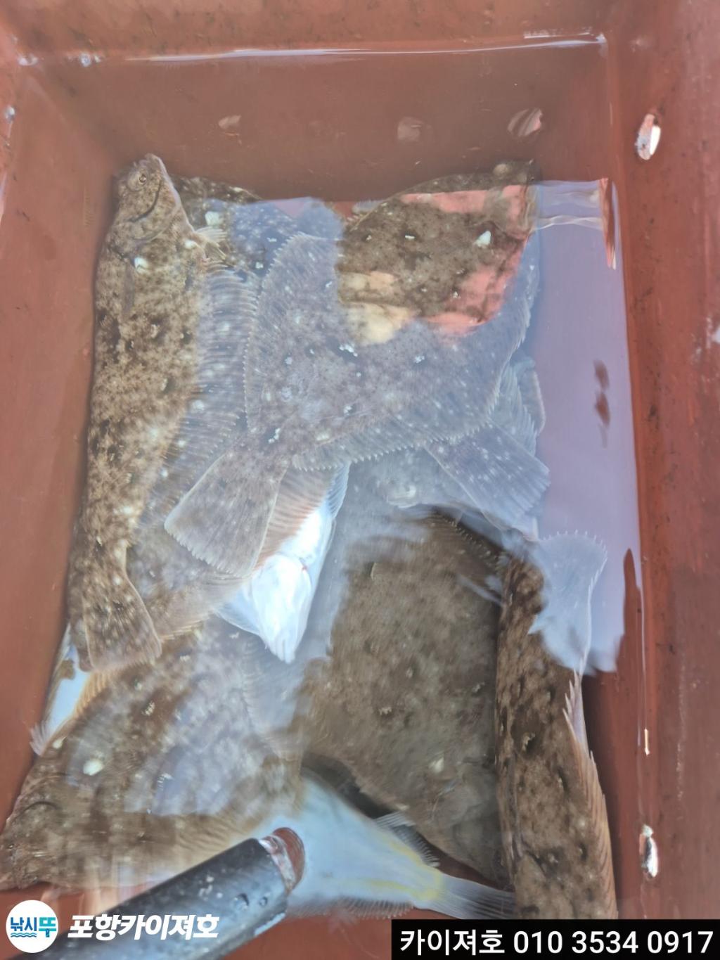 낚시뚜,기타 (직접입력),영일만항,포항카이져호,낚시뚜7