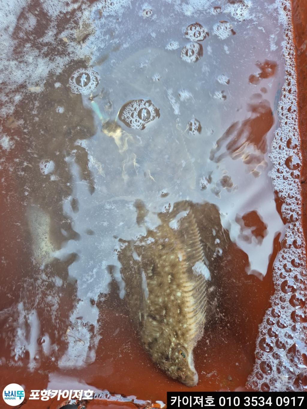 낚시뚜,기타 (직접입력),영일만항,포항카이져호,낚시뚜6