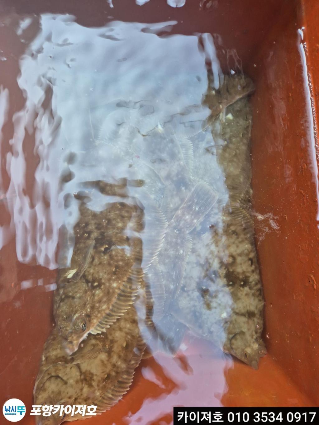 낚시뚜,기타 (직접입력),영일만항,포항카이져호,낚시뚜5