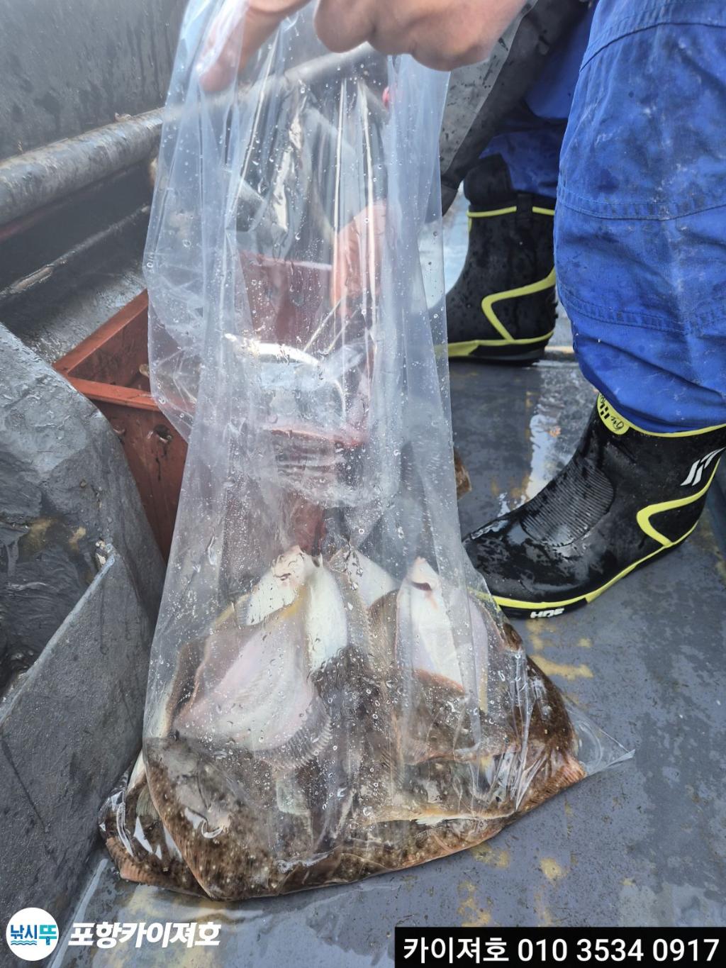 낚시뚜,기타 (직접입력),영일만항,포항카이져호,낚시뚜4