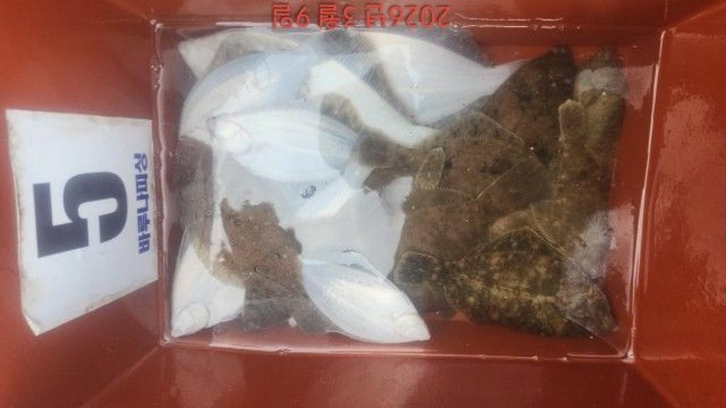 낚시뚜,도다리,속천항(진해),바루나피싱,낚시뚜5