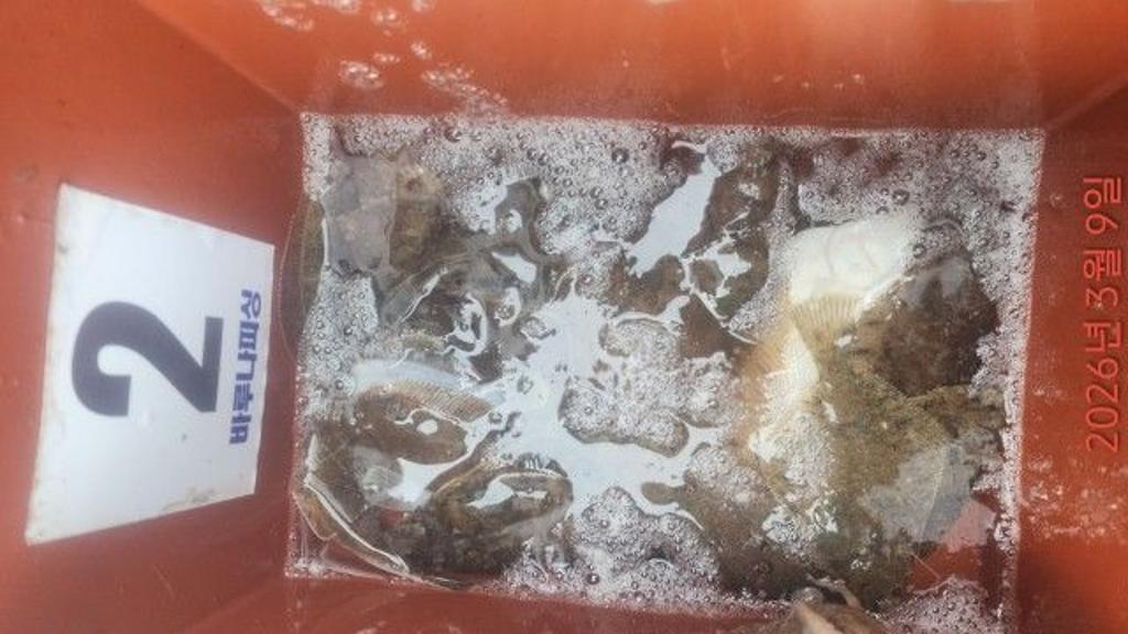 낚시뚜,도다리,속천항(진해),바루나피싱,낚시뚜4