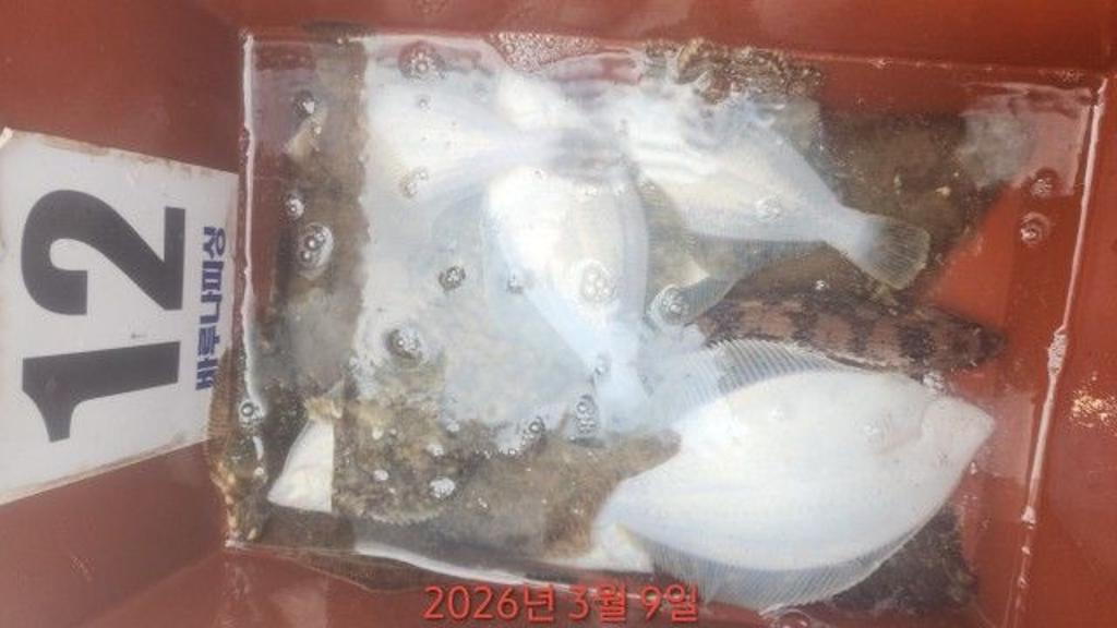 낚시뚜,도다리,속천항(진해),바루나피싱,낚시뚜2