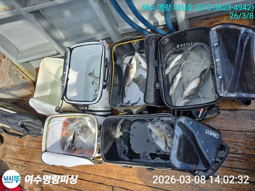 낚시뚜,감성돔,국동항,여수명랑피싱,낚시뚜7