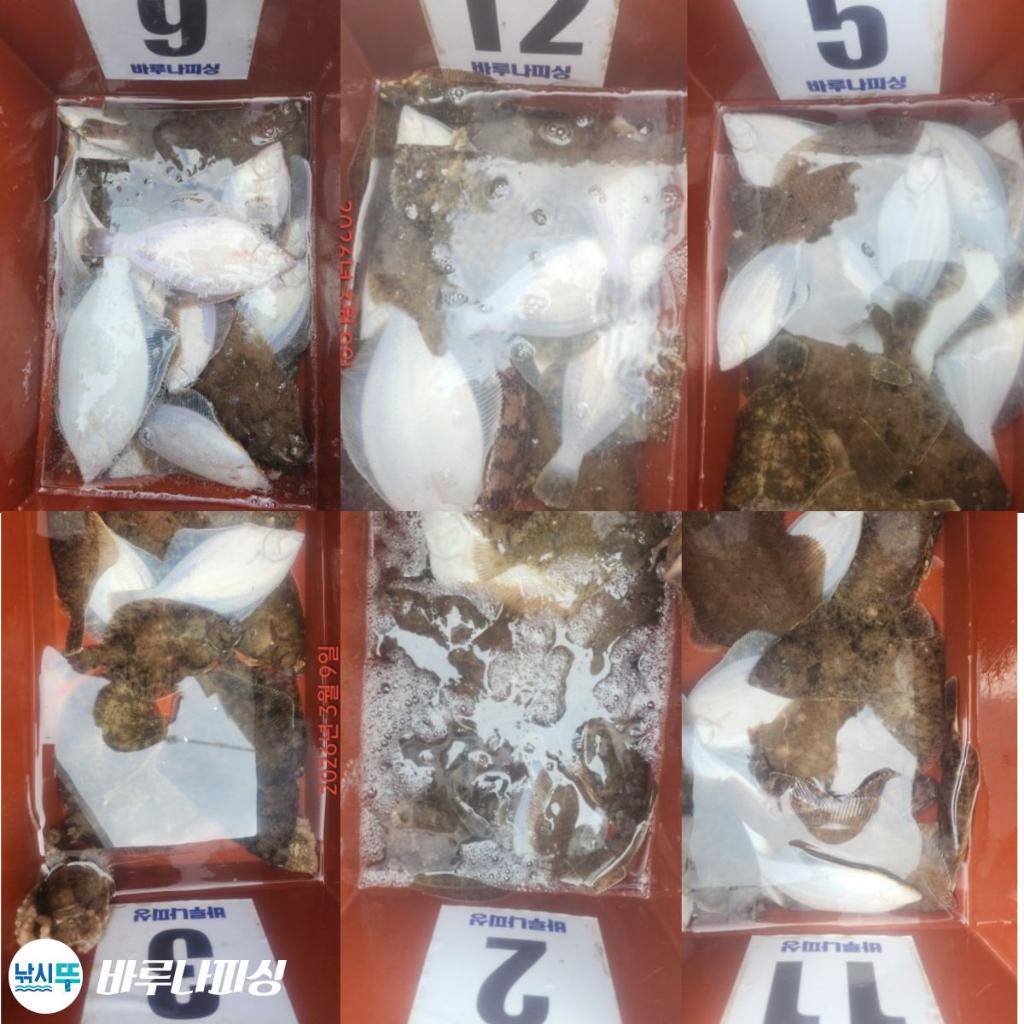 낚시뚜,도다리,속천항(진해),바루나피싱,낚시뚜9