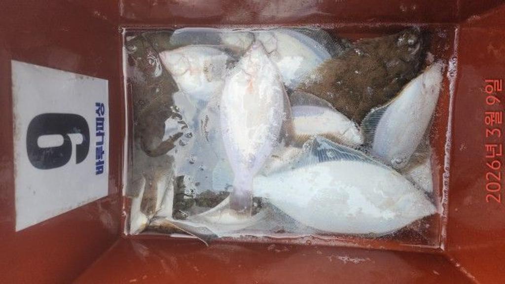 낚시뚜,도다리,속천항(진해),바루나피싱,낚시뚜8