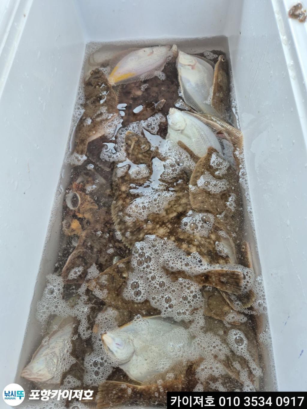 낚시뚜,기타 (직접입력),영일만항,포항카이져호,낚시뚜55