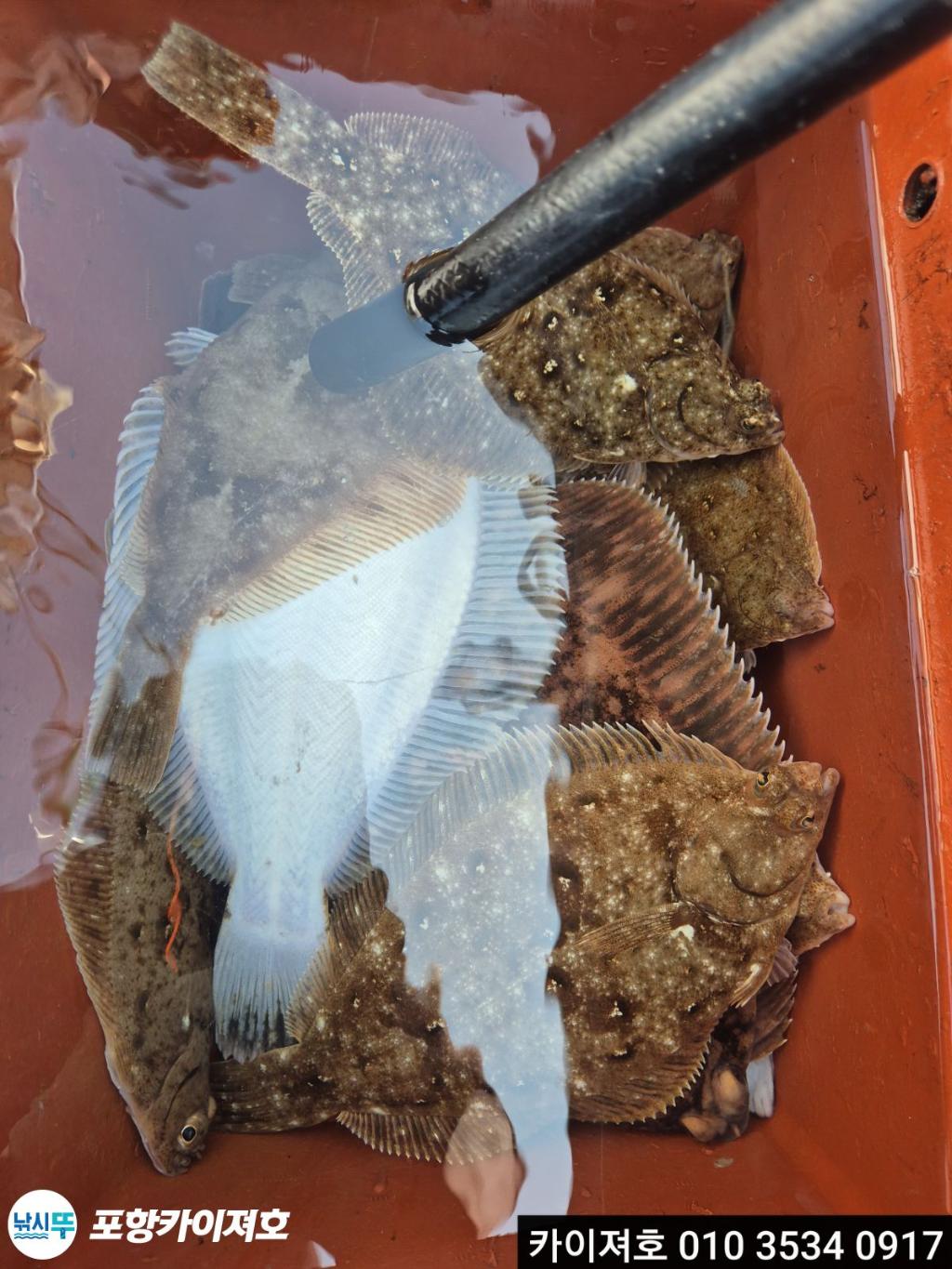 낚시뚜,기타 (직접입력),영일만항,포항카이져호,낚시뚜53