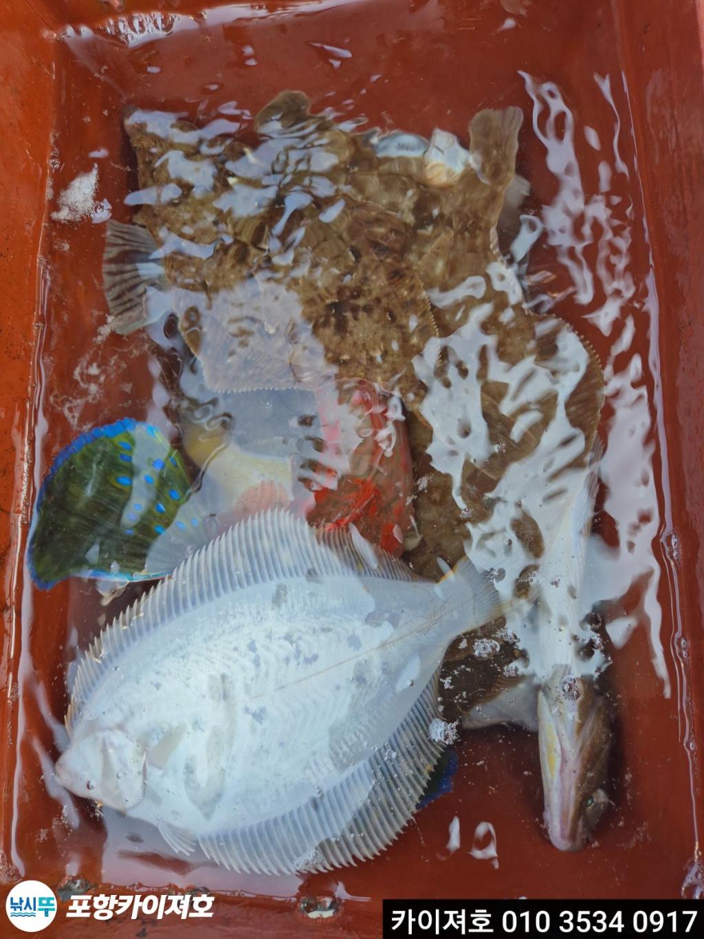 낚시뚜,기타 (직접입력),영일만항,포항카이져호,낚시뚜49