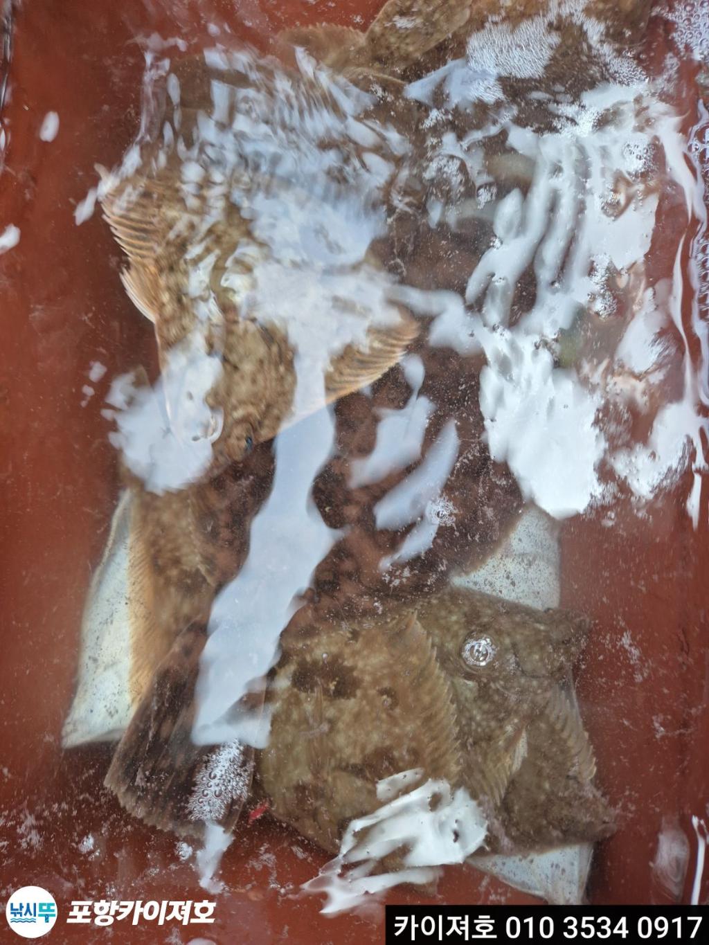 낚시뚜,기타 (직접입력),영일만항,포항카이져호,낚시뚜38