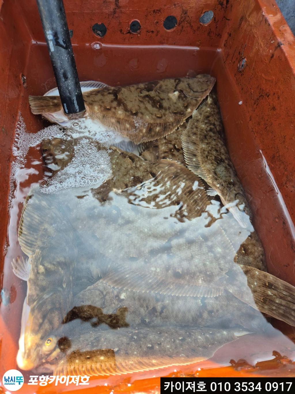 낚시뚜,기타 (직접입력),영일만항,포항카이져호,낚시뚜35
