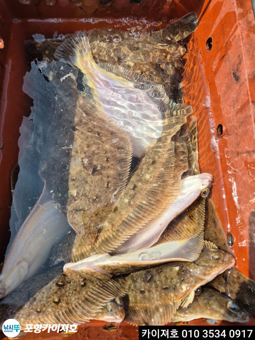 낚시뚜,기타 (직접입력),영일만항,포항카이져호,낚시뚜30