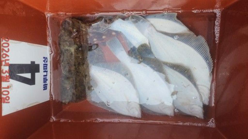 낚시뚜,도다리,속천항(진해),바루나피싱,낚시뚜6