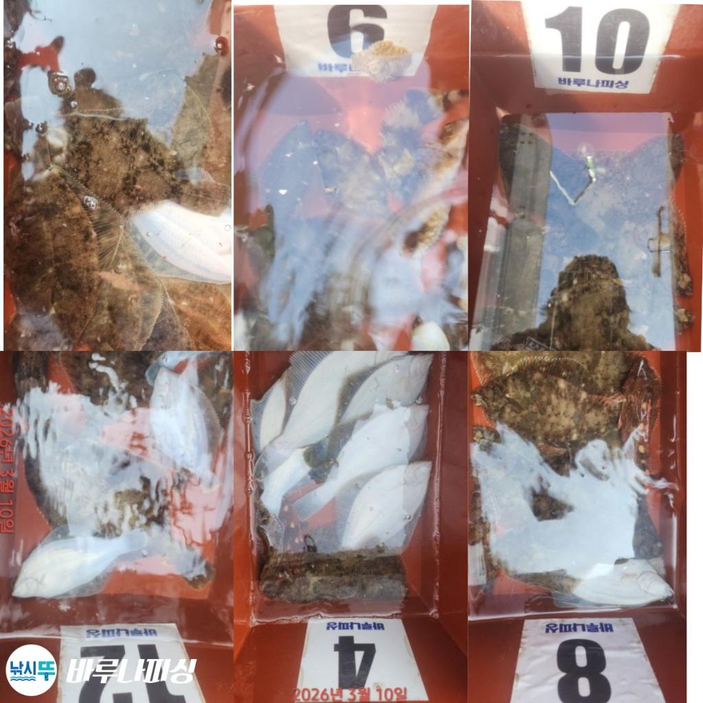 낚시뚜,도다리,속천항(진해),바루나피싱,낚시뚜11