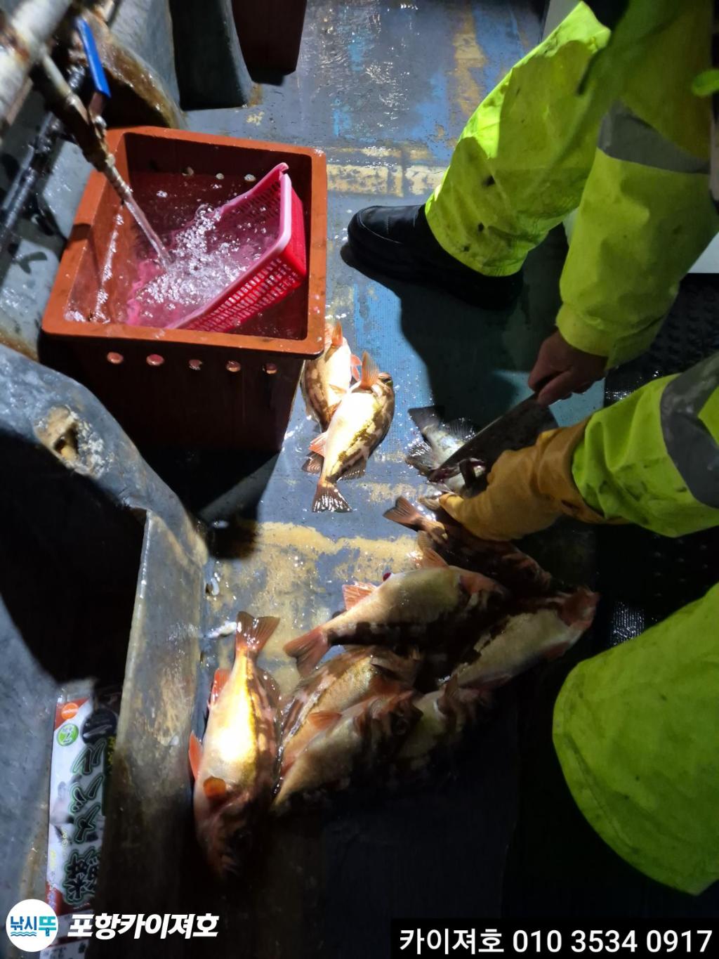 낚시뚜,기타 (직접입력),영일만항,포항카이져호,낚시뚜17