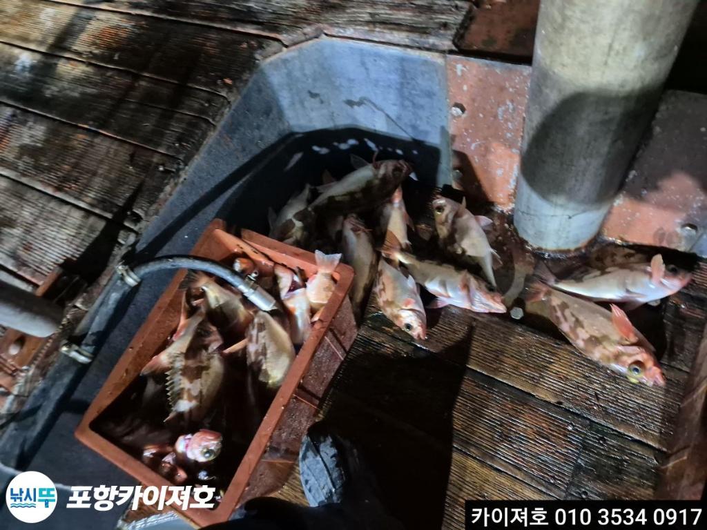 낚시뚜,기타 (직접입력),영일만항,포항카이져호,낚시뚜13