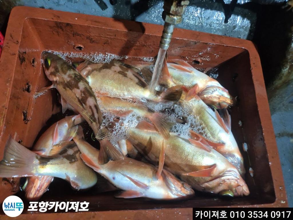 낚시뚜,기타 (직접입력),영일만항,포항카이져호,낚시뚜10