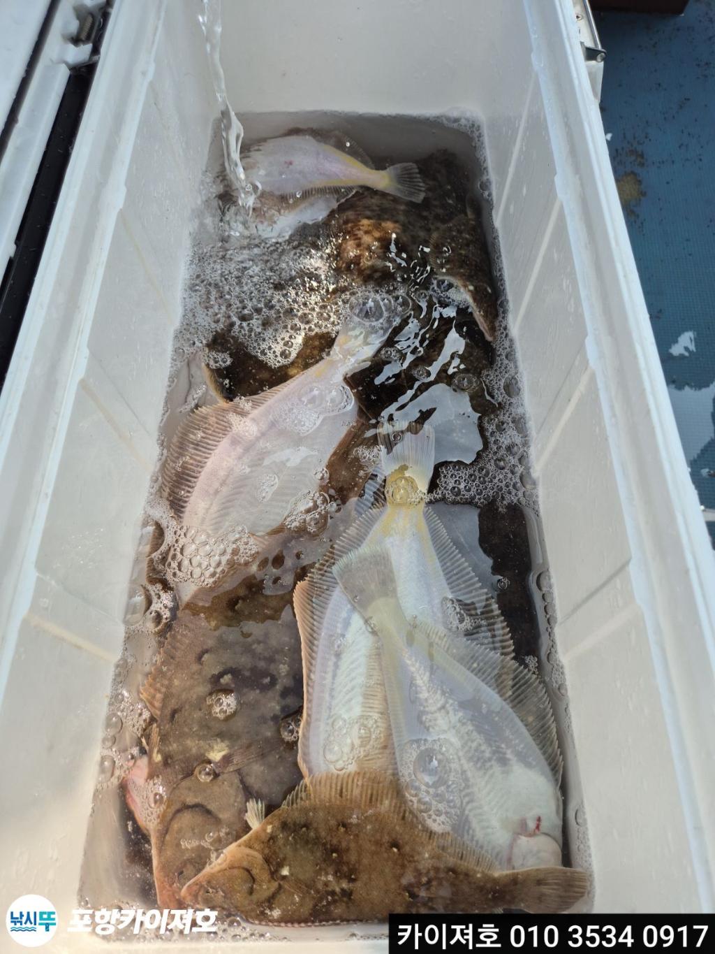 낚시뚜,도다리,영일만항,포항카이져호,낚시뚜59