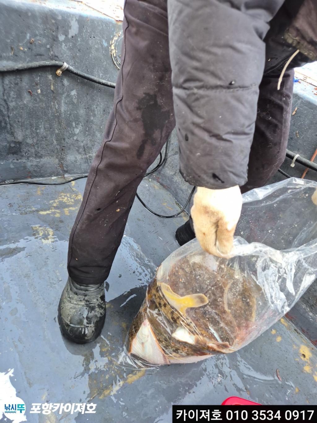 낚시뚜,도다리,영일만항,포항카이져호,낚시뚜56