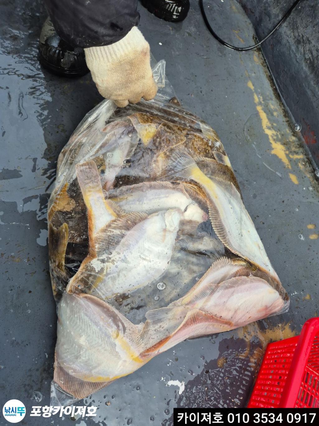 낚시뚜,도다리,영일만항,포항카이져호,낚시뚜55