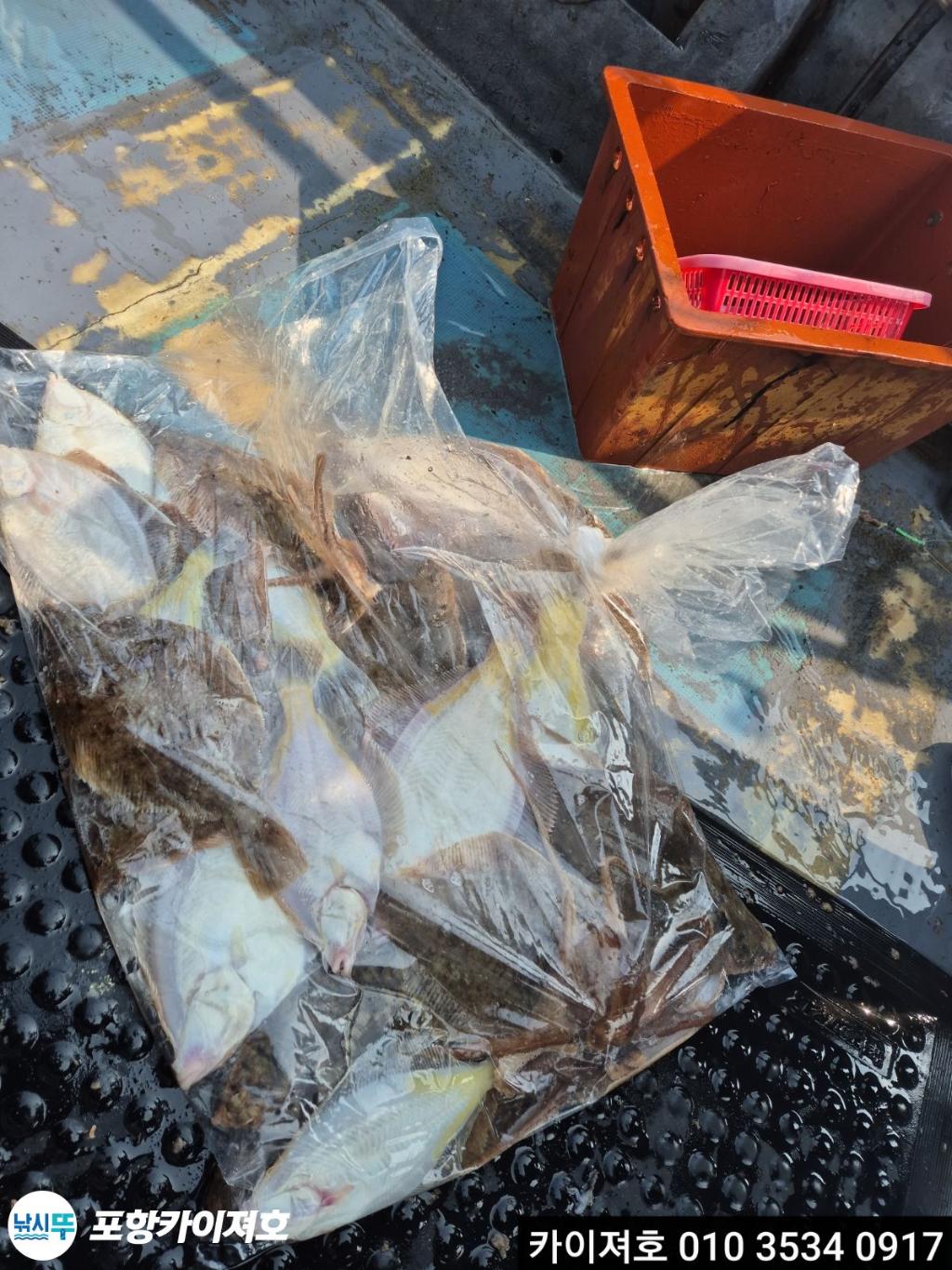 낚시뚜,도다리,영일만항,포항카이져호,낚시뚜48