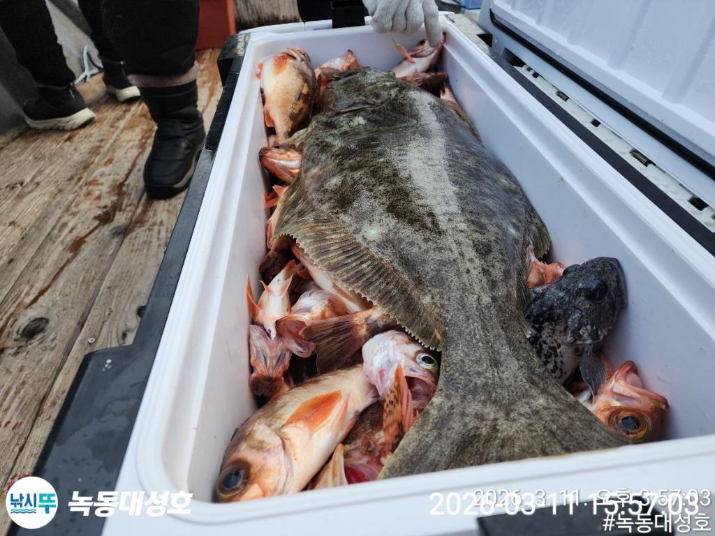 낚시뚜,열기,우럭,녹동항,녹동대성호,낚시뚜29