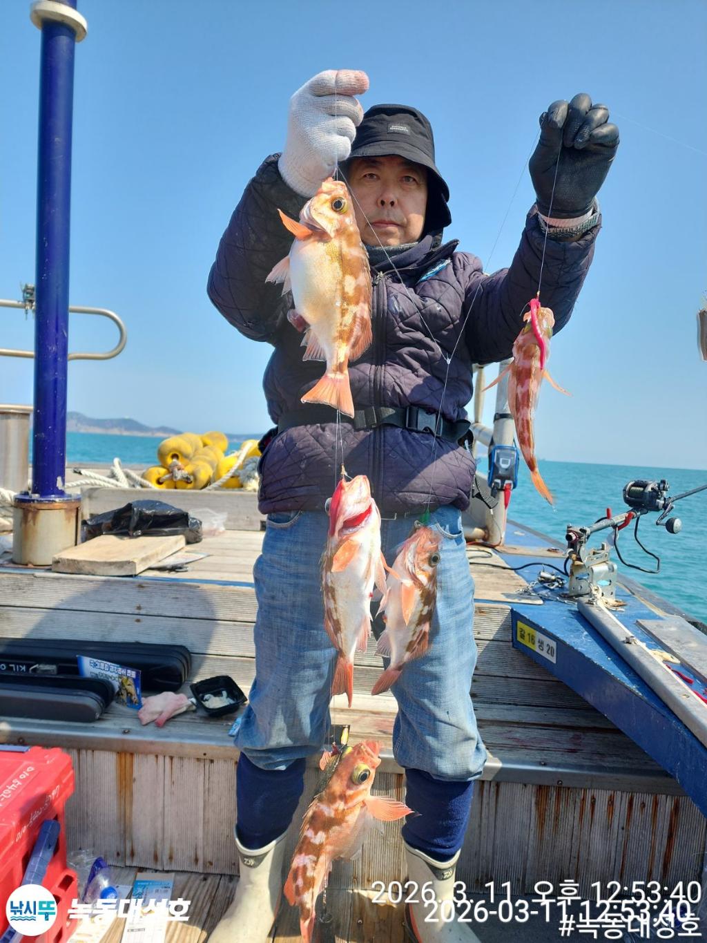 낚시뚜,열기,우럭,녹동항,녹동대성호,낚시뚜27