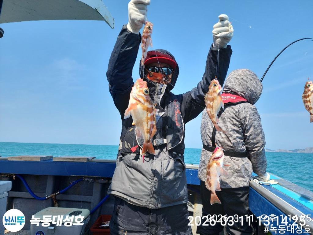 낚시뚜,열기,우럭,녹동항,녹동대성호,낚시뚜26