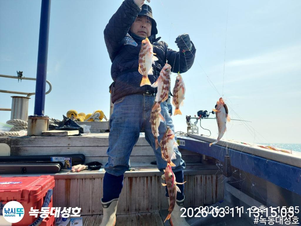 낚시뚜,열기,우럭,녹동항,녹동대성호,낚시뚜25