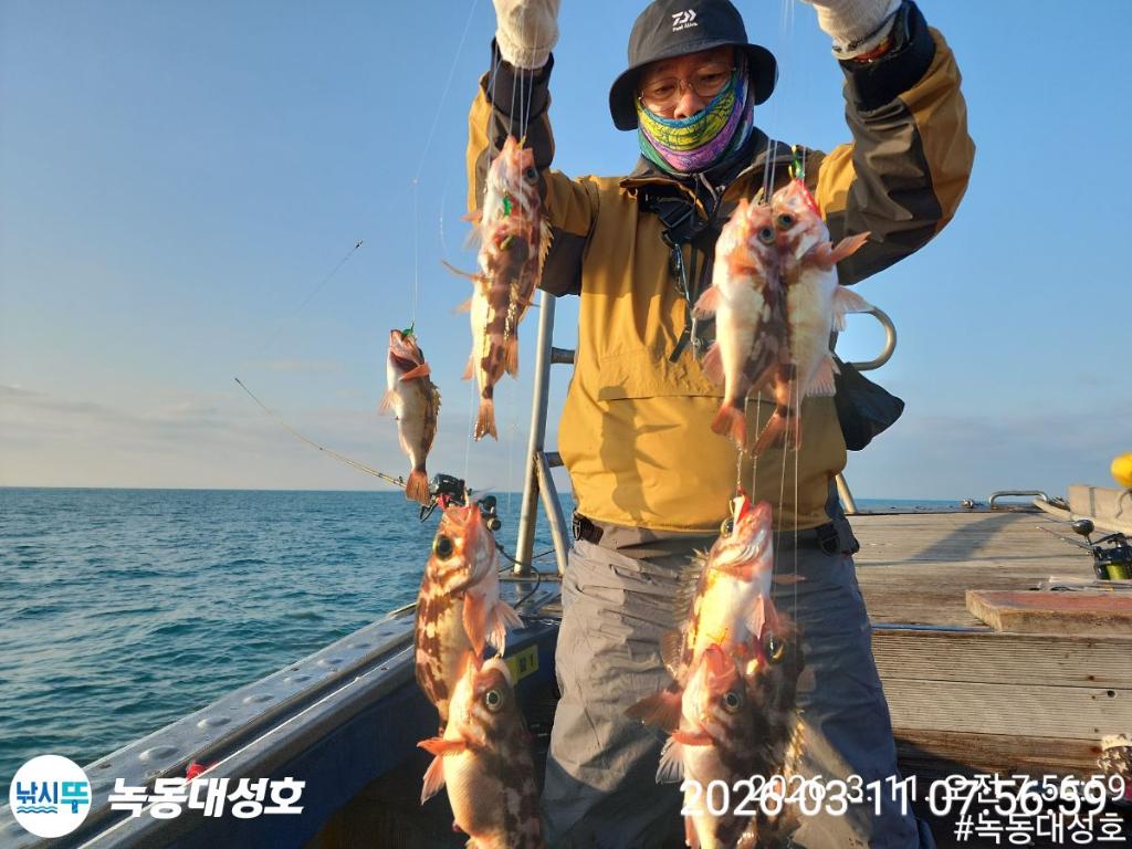낚시뚜,열기,우럭,녹동항,녹동대성호,낚시뚜18