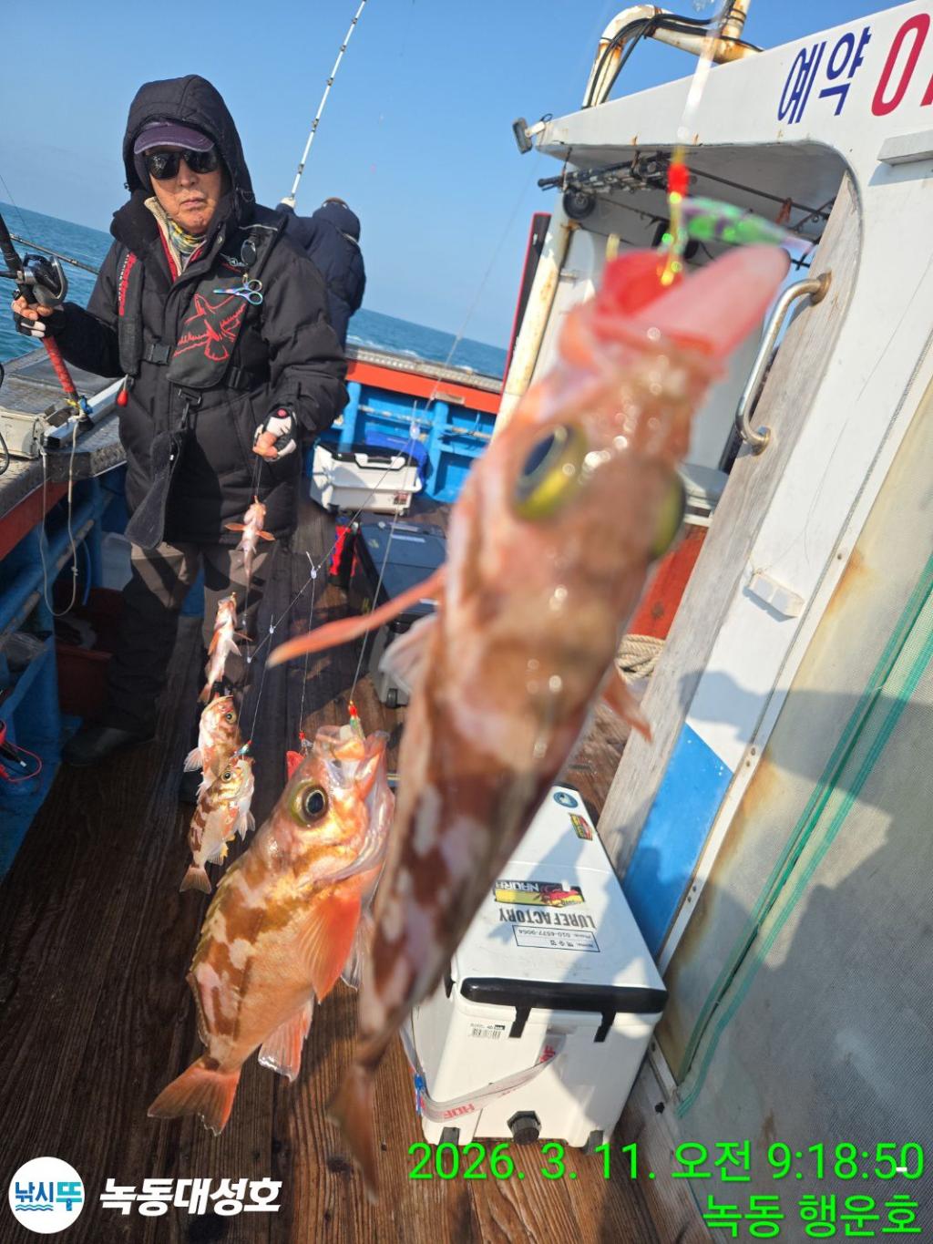 낚시뚜,열기,우럭,녹동항,녹동대성호,낚시뚜15