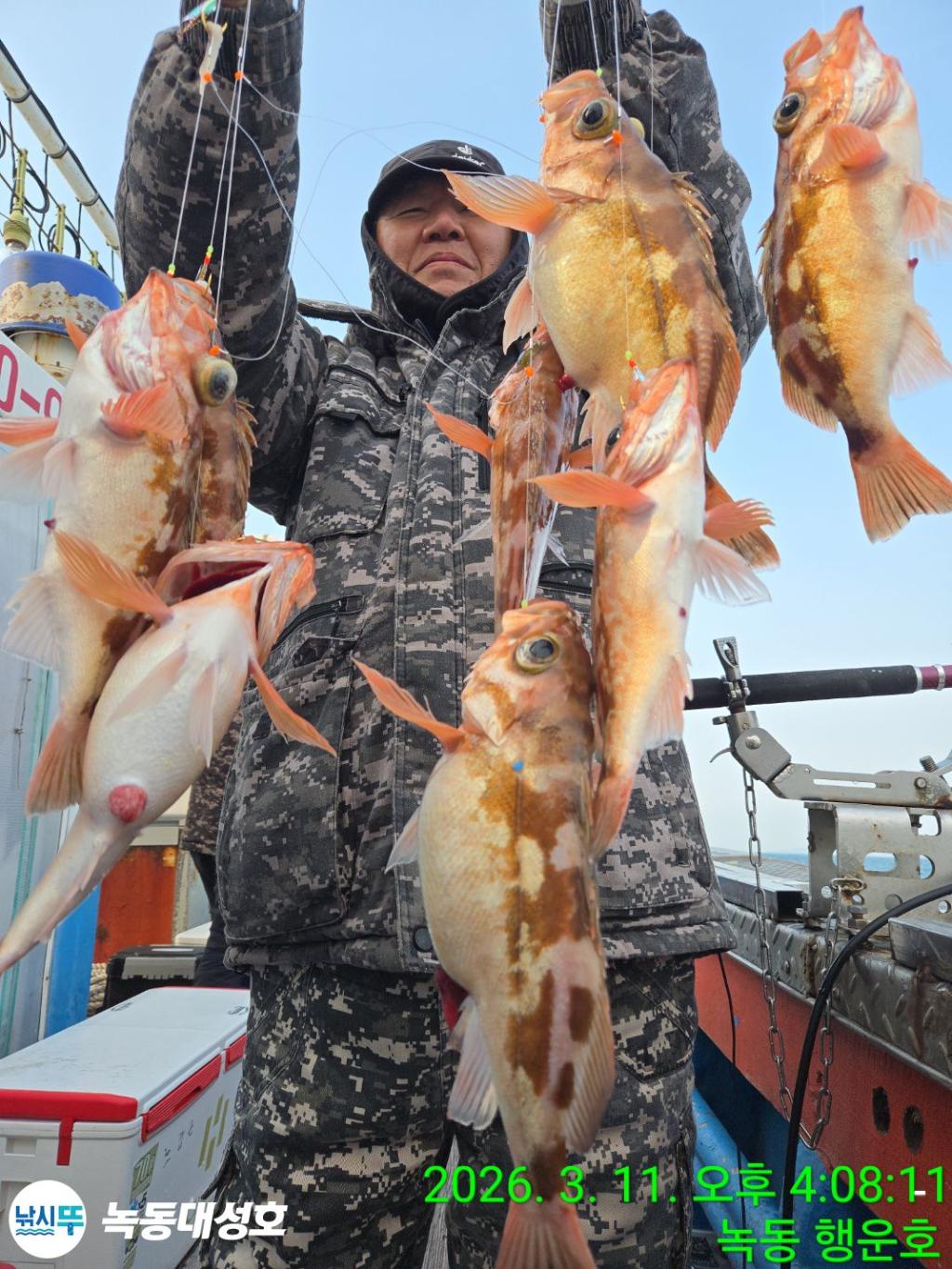 낚시뚜,열기,우럭,녹동항,녹동대성호,낚시뚜13