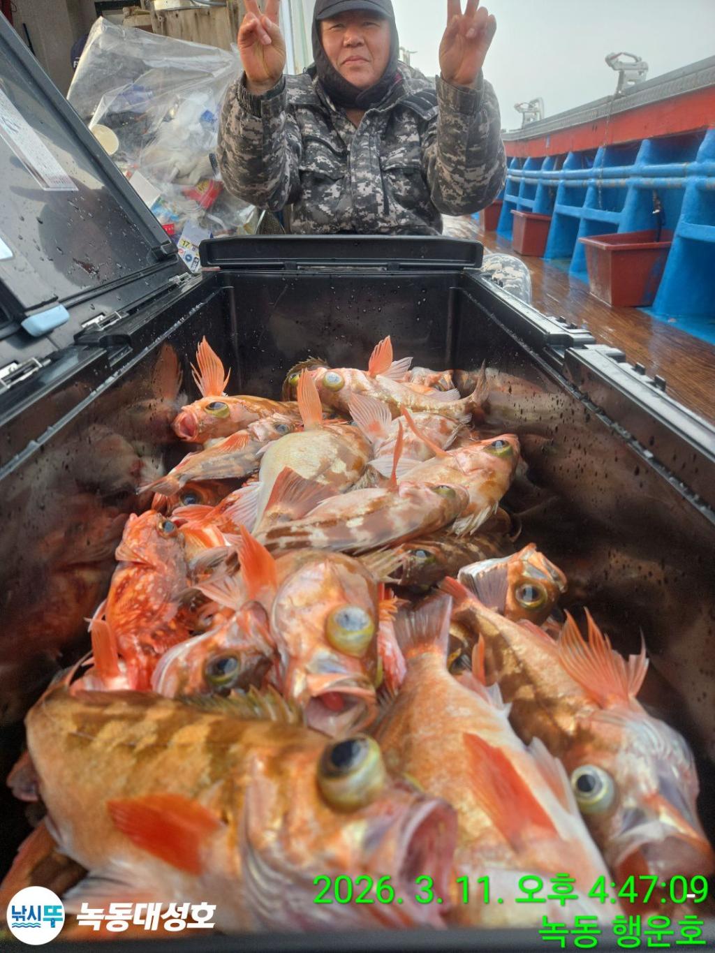 낚시뚜,열기,우럭,녹동항,녹동대성호,낚시뚜5