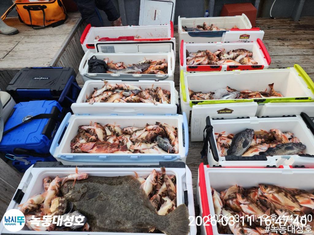 낚시뚜,열기,우럭,녹동항,녹동대성호,낚시뚜1