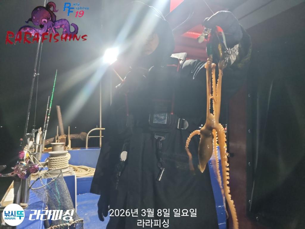 낚시뚜,돌문어,낙지,속천항(진해),라라피싱,낚시뚜2