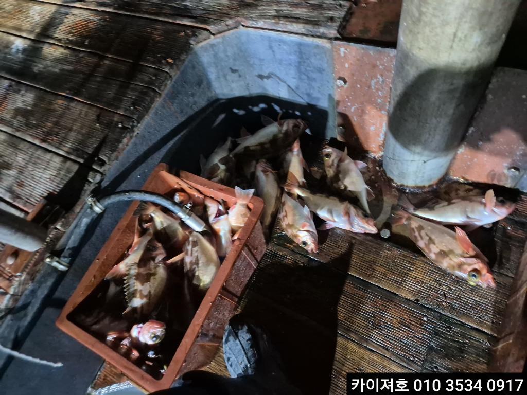 낚시뚜,기타 (직접입력),영일만항,포항카이져호,낚시뚜22