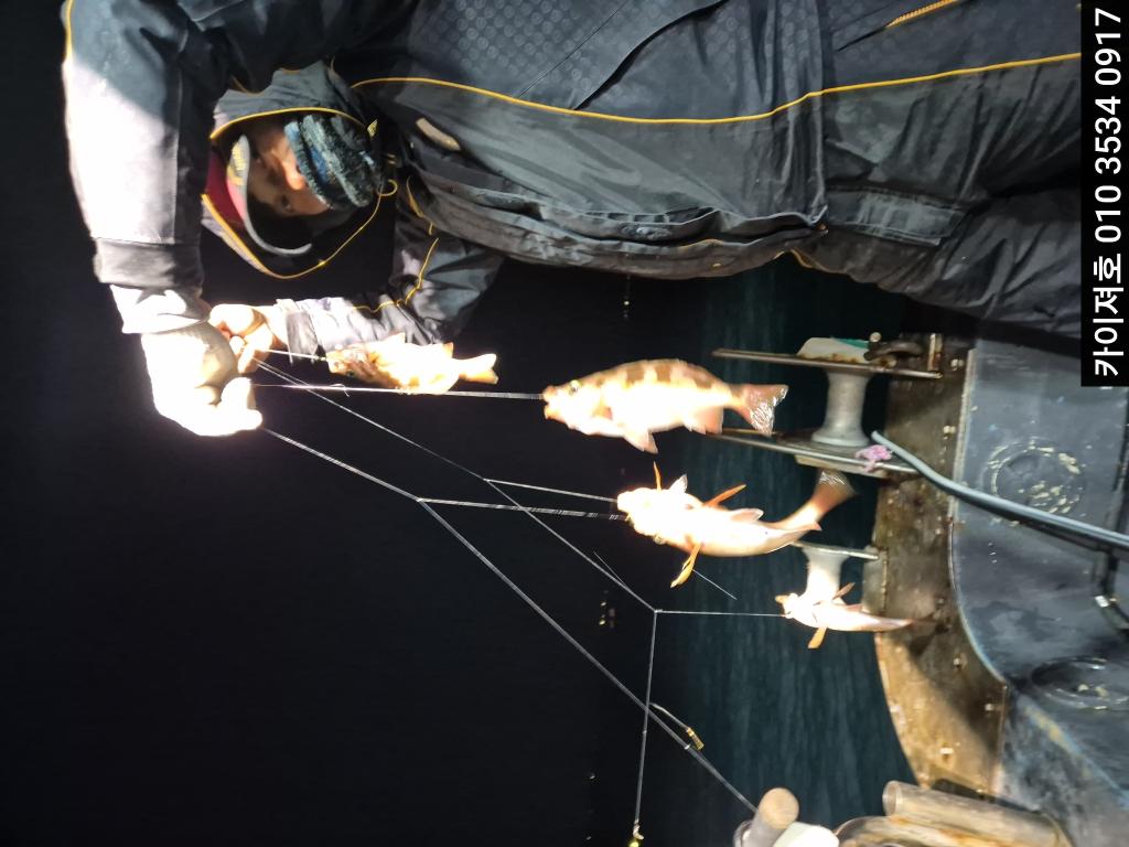 낚시뚜,기타 (직접입력),영일만항,포항카이져호,낚시뚜23