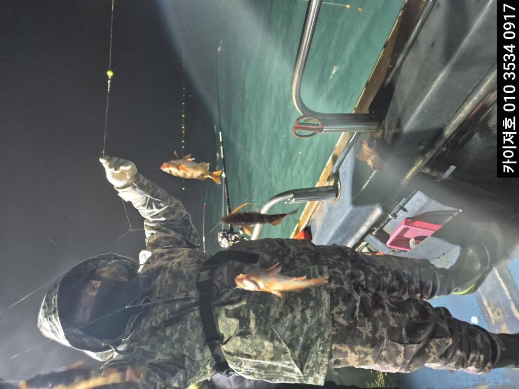 낚시뚜,기타 (직접입력),영일만항,포항카이져호,낚시뚜31