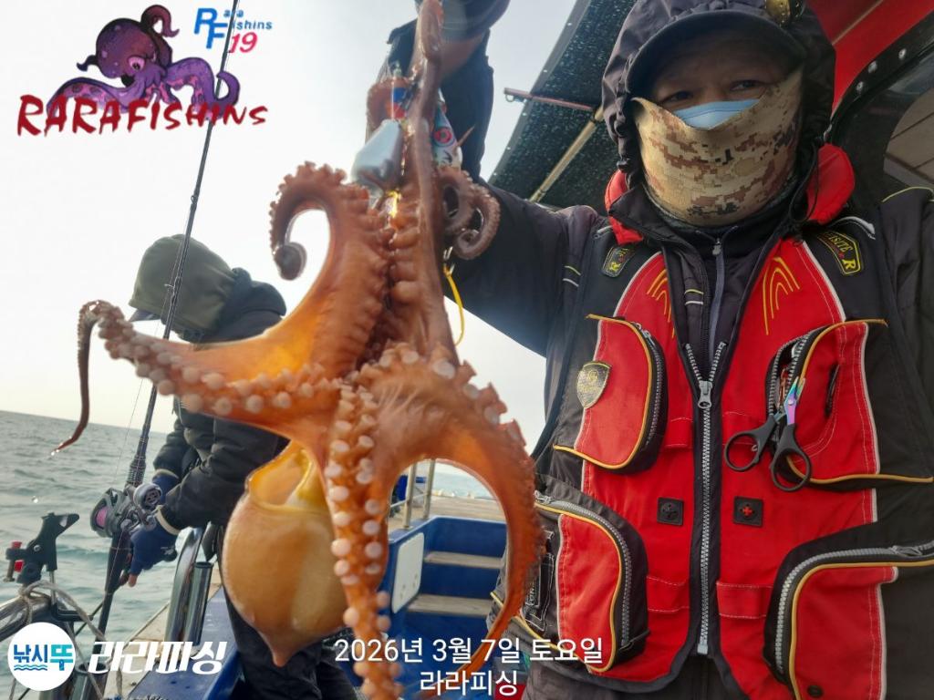 낚시뚜,낙지,돌문어,속천항(진해),라라피싱,낚시뚜26