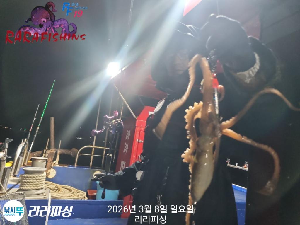 낚시뚜,낙지,돌문어,속천항(진해),라라피싱,낚시뚜6