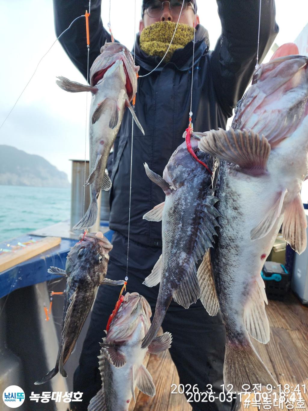 낚시뚜,우럭,녹동항,녹동대성호,낚시뚜42