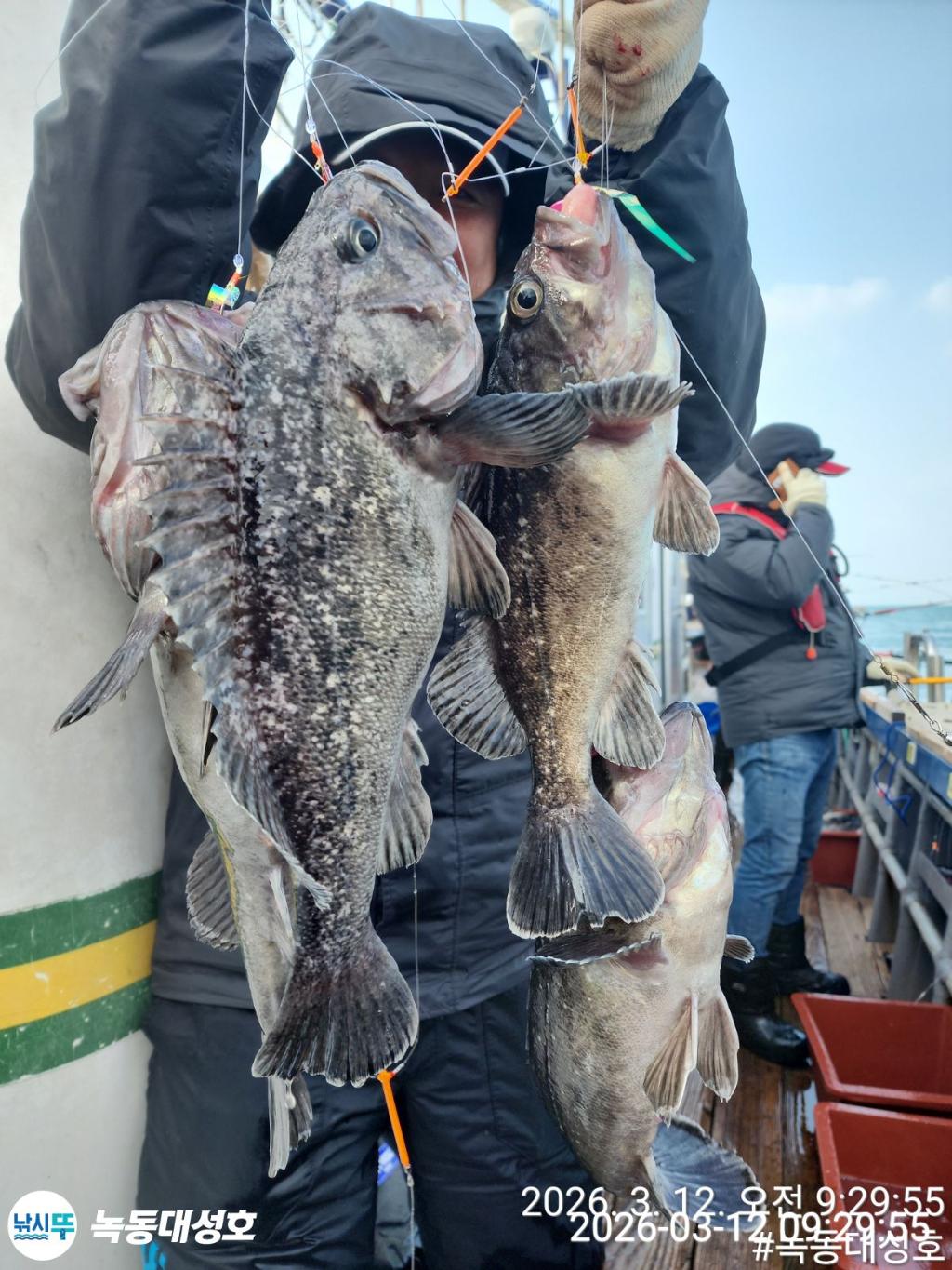 낚시뚜,우럭,녹동항,녹동대성호,낚시뚜41