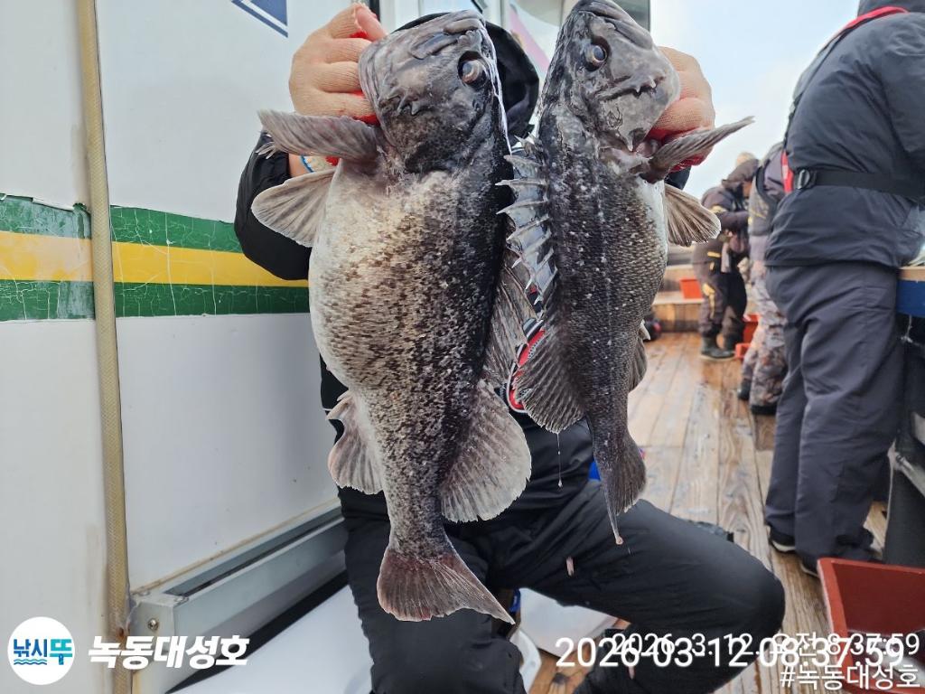 낚시뚜,우럭,녹동항,녹동대성호,낚시뚜39