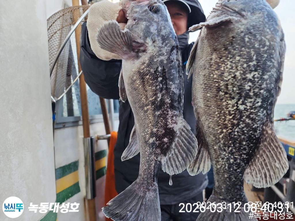 낚시뚜,우럭,녹동항,녹동대성호,낚시뚜38