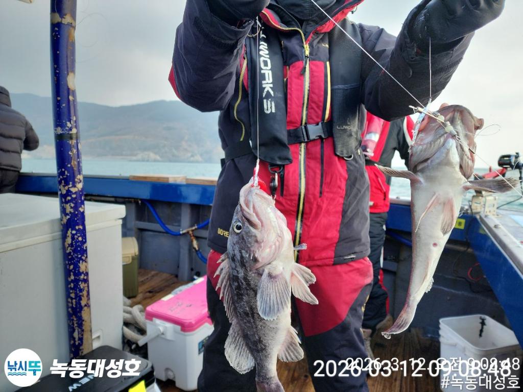 낚시뚜,우럭,녹동항,녹동대성호,낚시뚜35