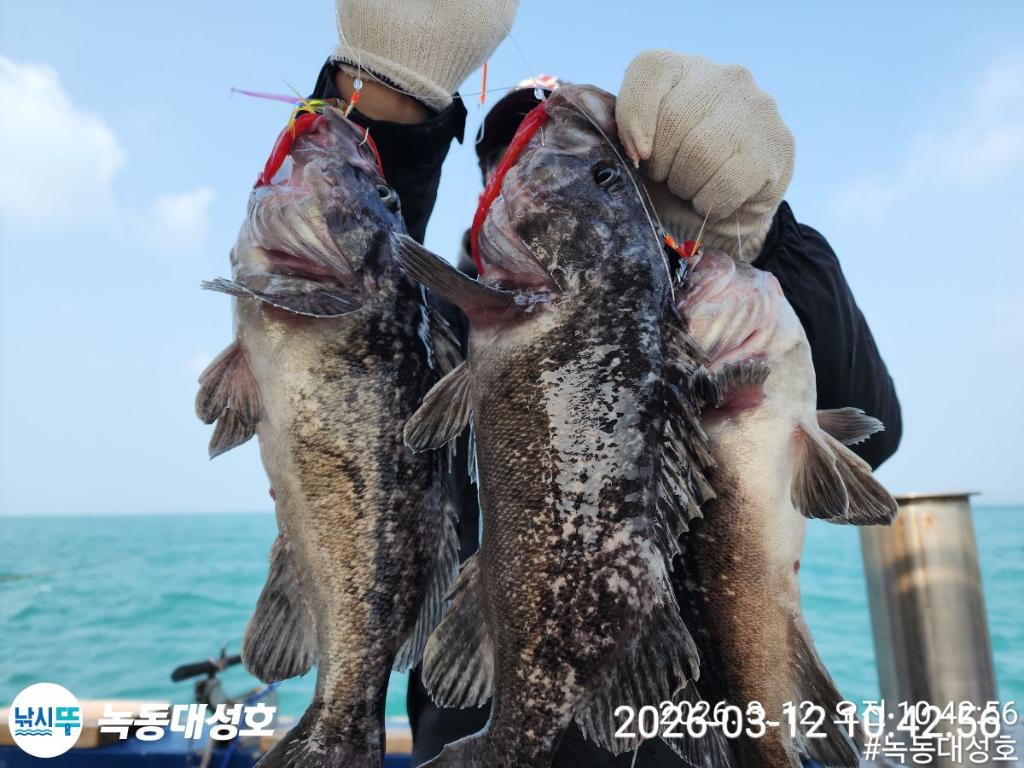 낚시뚜,우럭,녹동항,녹동대성호,낚시뚜32