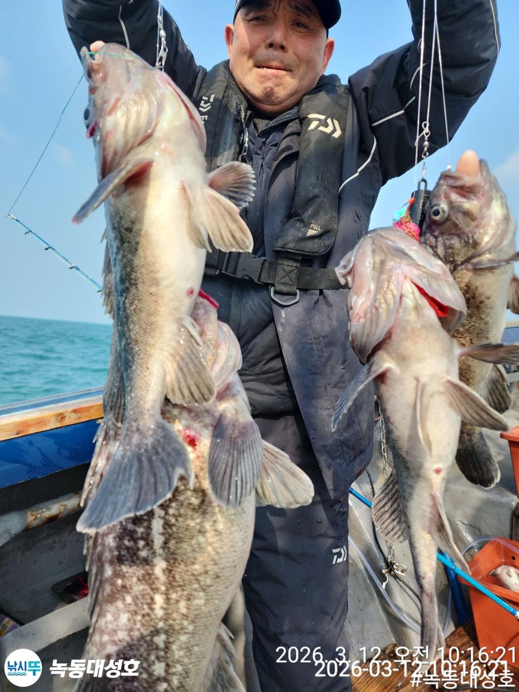 낚시뚜,우럭,녹동항,녹동대성호,낚시뚜31