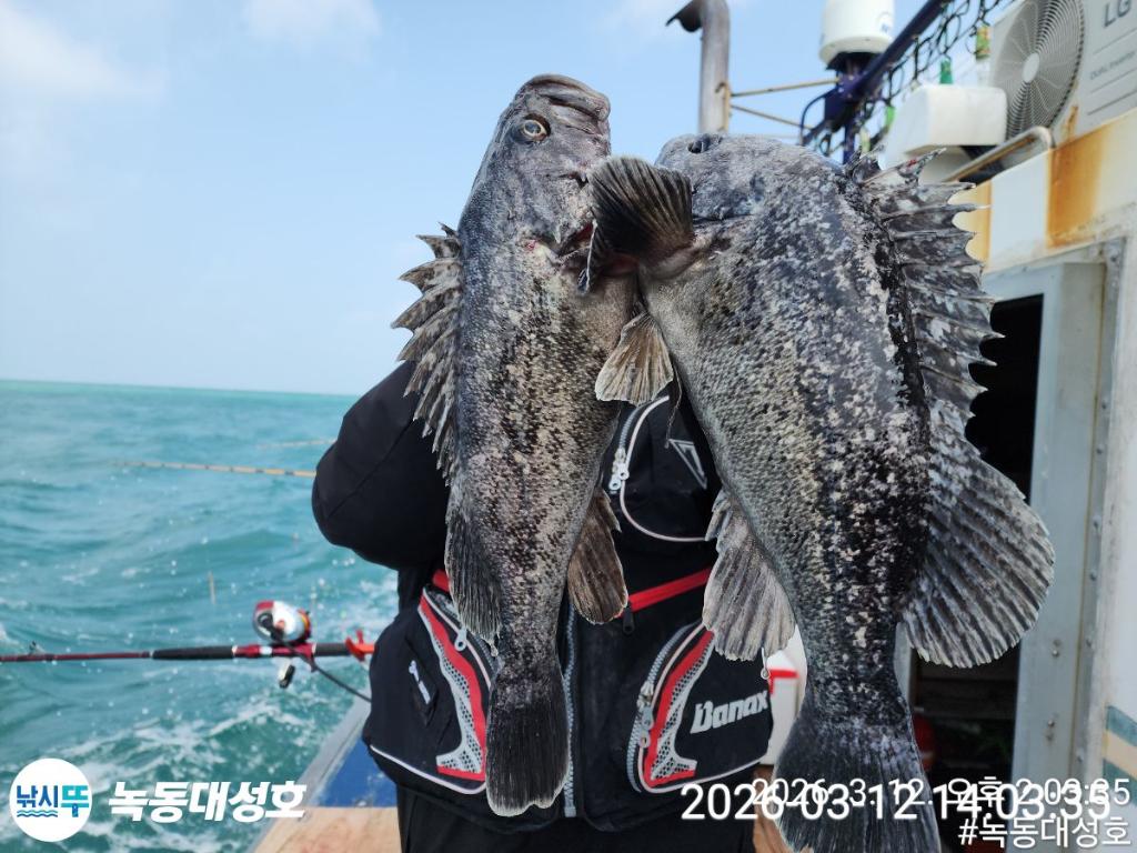 낚시뚜,우럭,녹동항,녹동대성호,낚시뚜30
